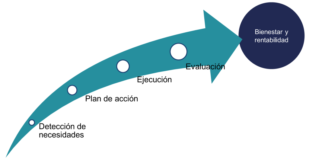 metodologia